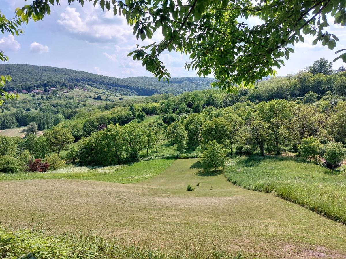 Holiday Home Franky Varazdin Breg エクステリア 写真